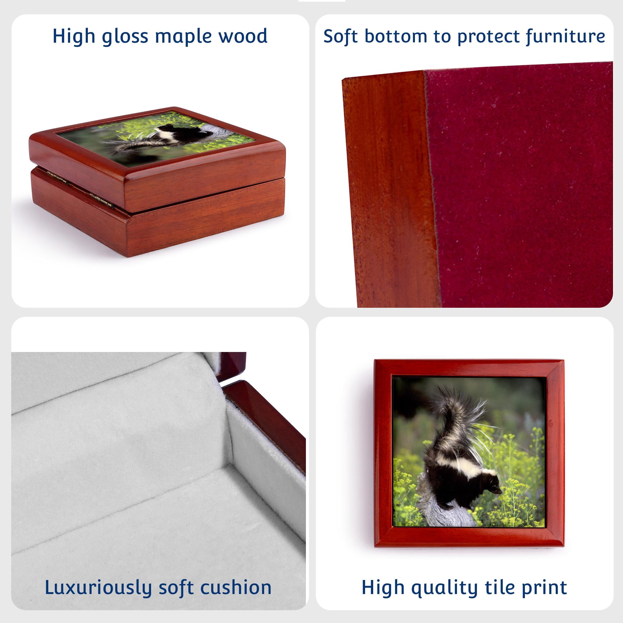 3dRose, North America, USA, Montana. Skunk wildlife - US27 TVE0004 - Tom Vezo, Jewelry Box 5.5x5.5 inch with 4 inch tile