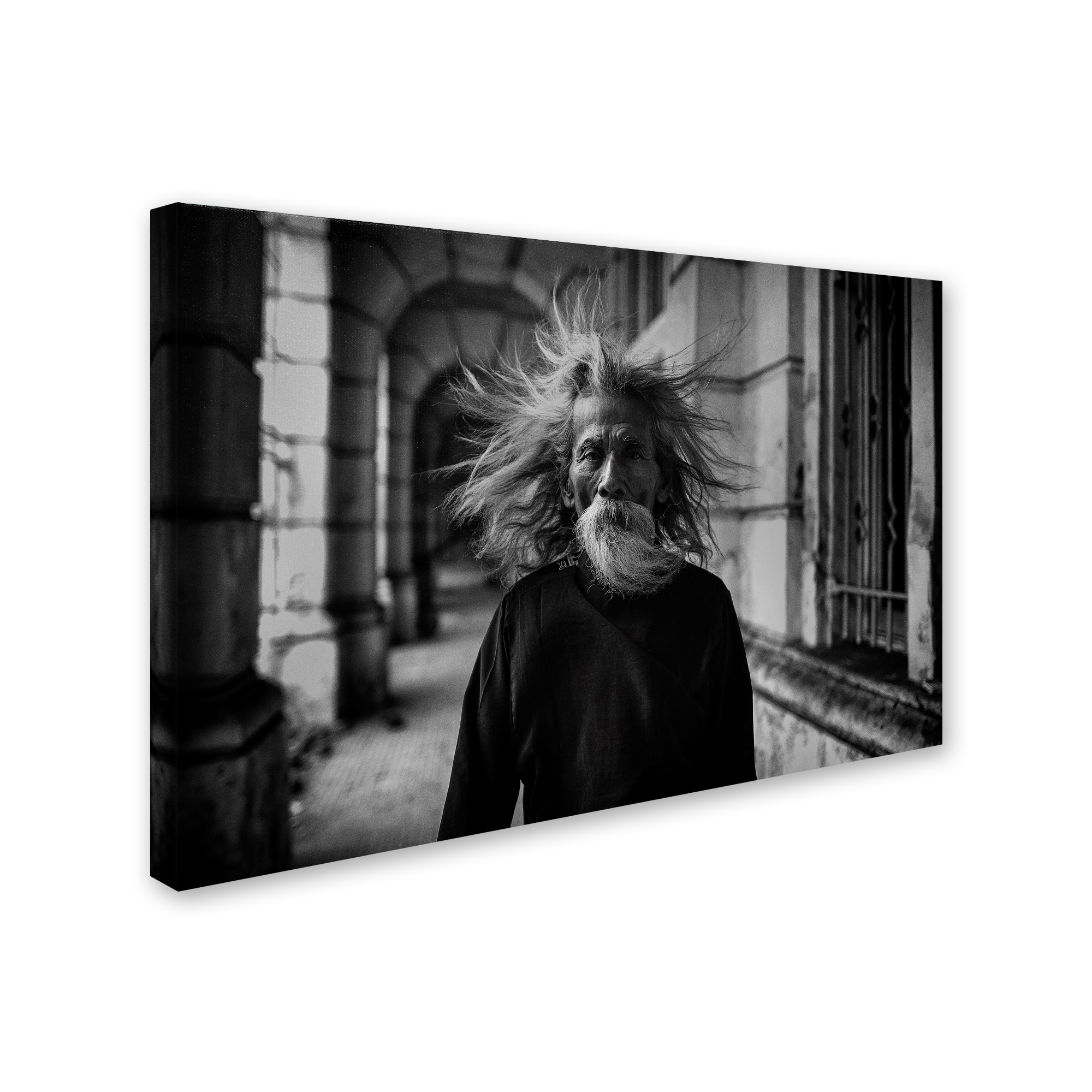 Hardibudi 'That Summer The Wind Blows' Canvas Art