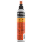 Armor All Protectant Car Cleaning Spray, 16 fl oz
