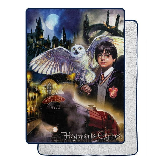 Warner Bros Harry Potter Throw, Silk Touch Sherpa, 60x80, Multicolor, Polyester, 1 Each