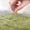🔥 Light Green, variant on 3-Piece Super Soft Bathroom Rug Set Non-Slip Absorbent Microfiber Bath Mat U-Shaped Toilet Carpet Modern Washable for Shower Hotel Bedroom 19.6x31.5 19.6x17.7 19.6x15.7in Stylish Finds for Less