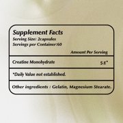Micronized Creatine Capsules - Muscle Building Support, Improve Performance & Strength - 120 Capsules