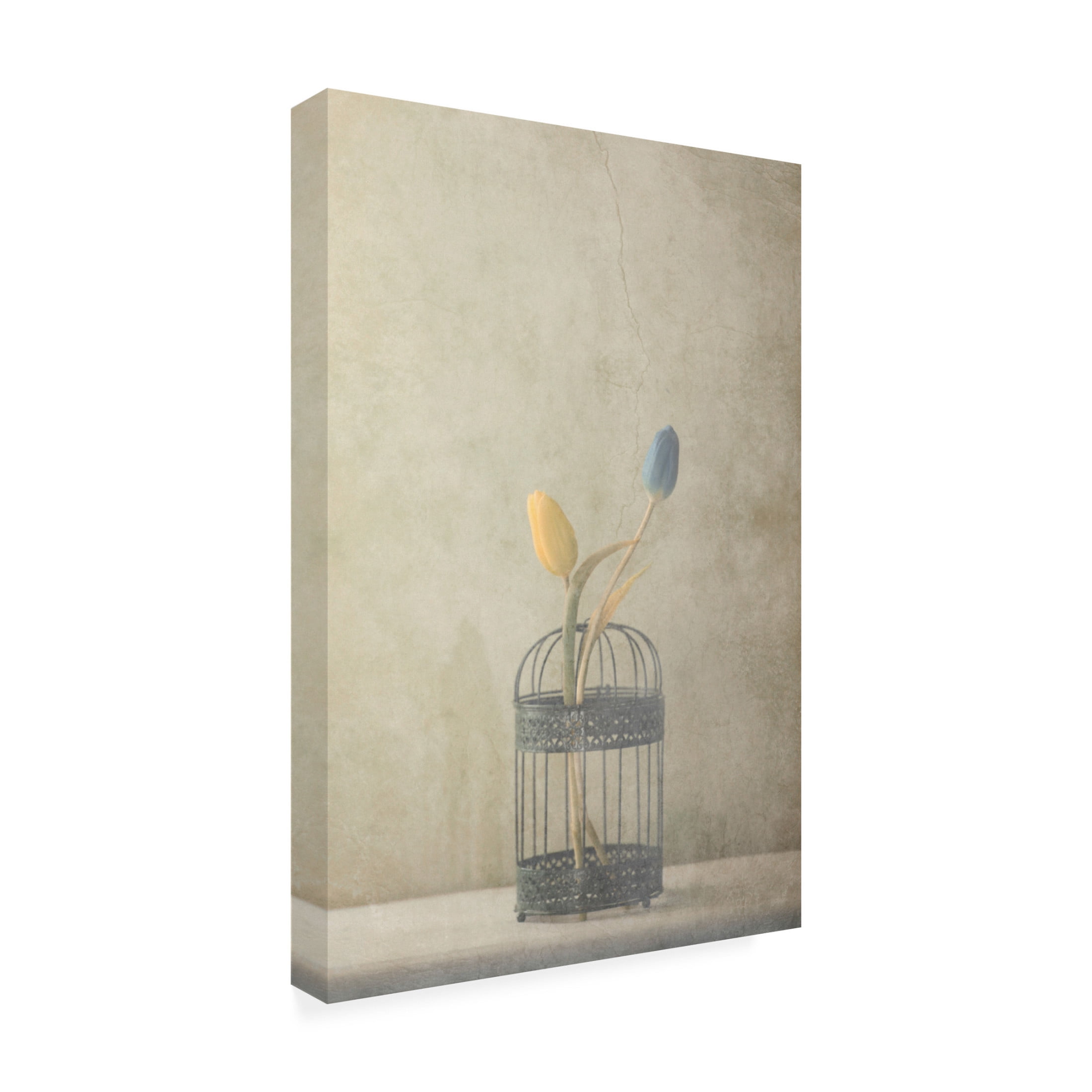 Canvas Wall Art - Delphine Devos 'But Together' Wall Art for Living Room, Bedroom, or Office D?cor by Trademark Fine Art - 12 x 19 Inches