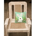 thumbnail image 2 of Carolines Treasures VHA3023PW1414 Easter Bunny Rabbit Fabric Decorative Pillow, 2 of 4