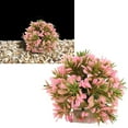 thumbnail image 4 of Aquarium Plastic Grass Ball, Easy To Clean Safe Bright Color Compact Colorfast Fish  Artificial Grass Ball  For Aquarium For Landscaping Green,Yellow,Pink, 4 of 8