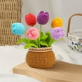 thumbnail image 7 of EGYMEN Handmade Crochet Potted Plants, Handcrafted Desk Decoration for Home and Office, Unique Gift Idea for Teachers, Moms, Friends, 7 of 7