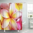 thumbnail image 1 of SUTTOM Rideau de Douche Floral Rose Jaune Violet Plumeria Frangipanier Tropical 66x72 Pouces, 1 of 1