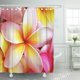 thumbnail image 1 of Cortina de Ducha Floral ABPHQTO Rosa Amarillo Morado Plumeria Frangipani 150x180 cm, 1 of 1