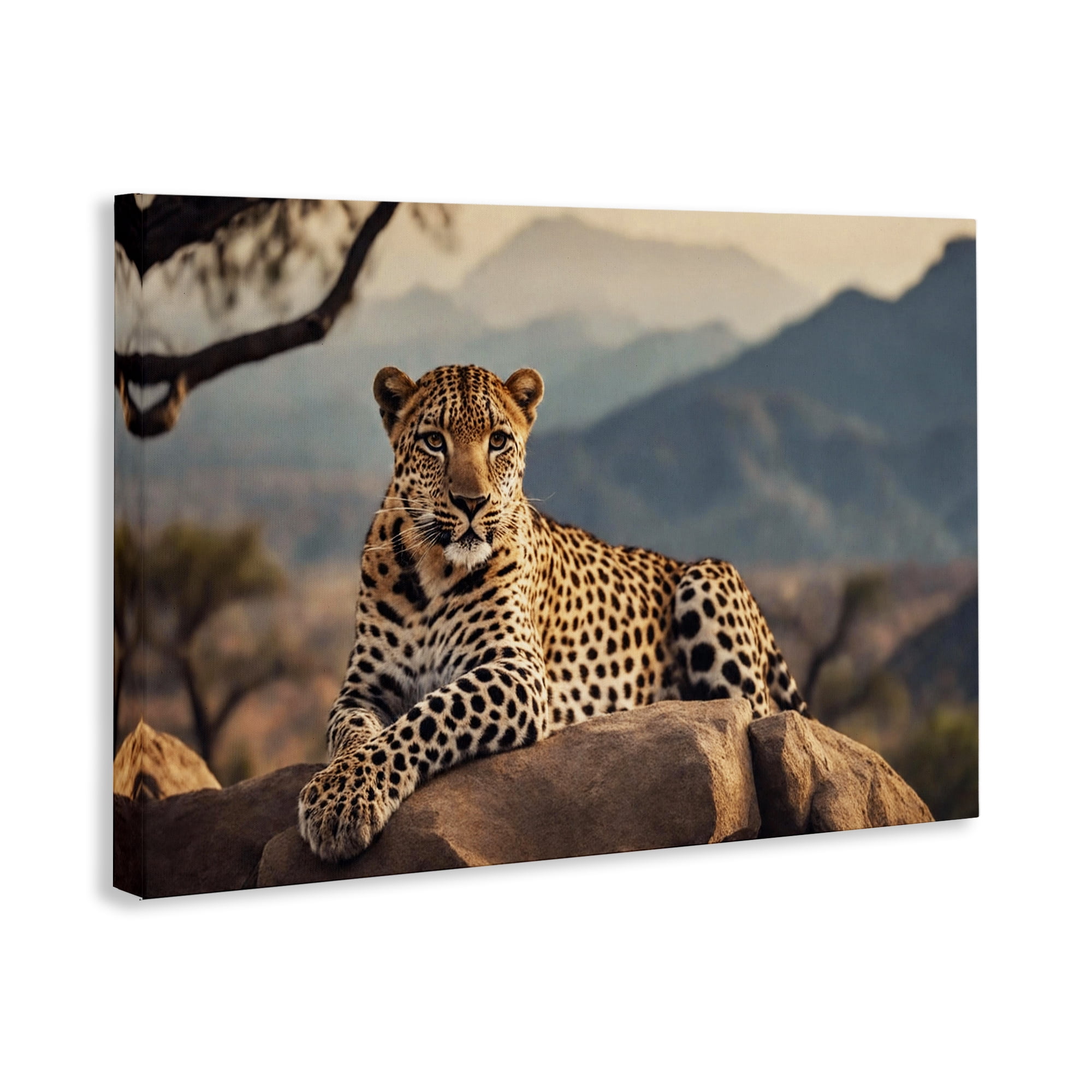Stupell Industries Intense Watching Cheetah Animals Photography Wrapped Canvas Art Print Wall Art, 30 x 20