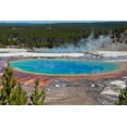 thumbnail image 2 of Sienda, Jolly 14x11 Gold Ornate Wood Framed with Double Matting Museum Art Print Titled - Yellowstone National Park-USA-Wyoming Grand Prismatic Spring with tourist, 2 of 4