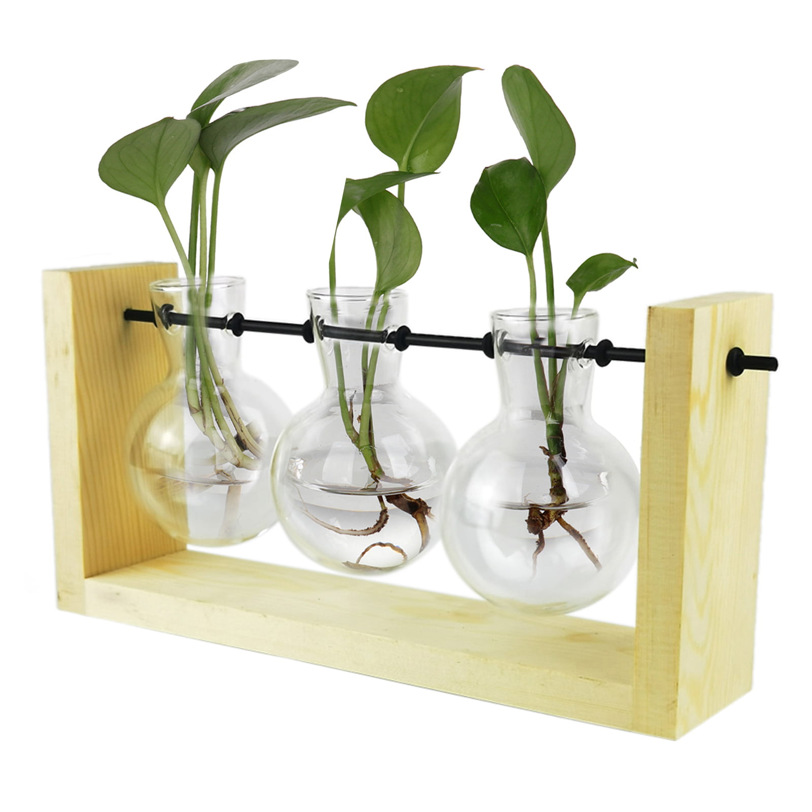 Terrarium Planters Hydroponics Plants Holder Glass Bulb Vases With Metal Bracket 