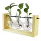 thumbnail image 2 of Florero Hidropónico Hidropónico, Florero De Cristal Decorativo Simple, Terrario De Planta Con Soporte De Madera, 2 of 8