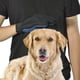 thumbnail image 4 of Guante de aseo para mascotas Guante de cepillo suave para cepillar Herramienta eficaz para eliminar el pelo suelto del guante de aseo para mascotas, 4 of 5