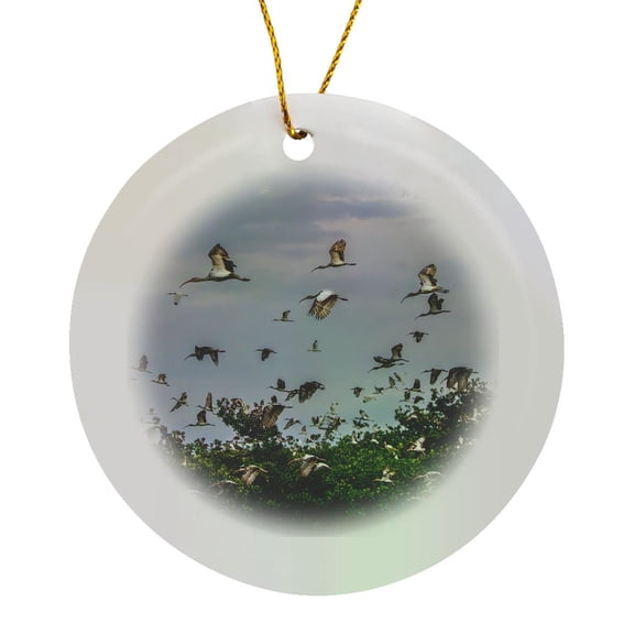 3drose, Adult and Juvenile White Ibis Leaving Roost. South Florida., Circle Porcelain Ornament