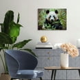 thumbnail image 2 of JRXY Panda Pictures Canvas Wall Art Posters Animal Prints Printing Home Office Decor  20x16inch, 2 of 6