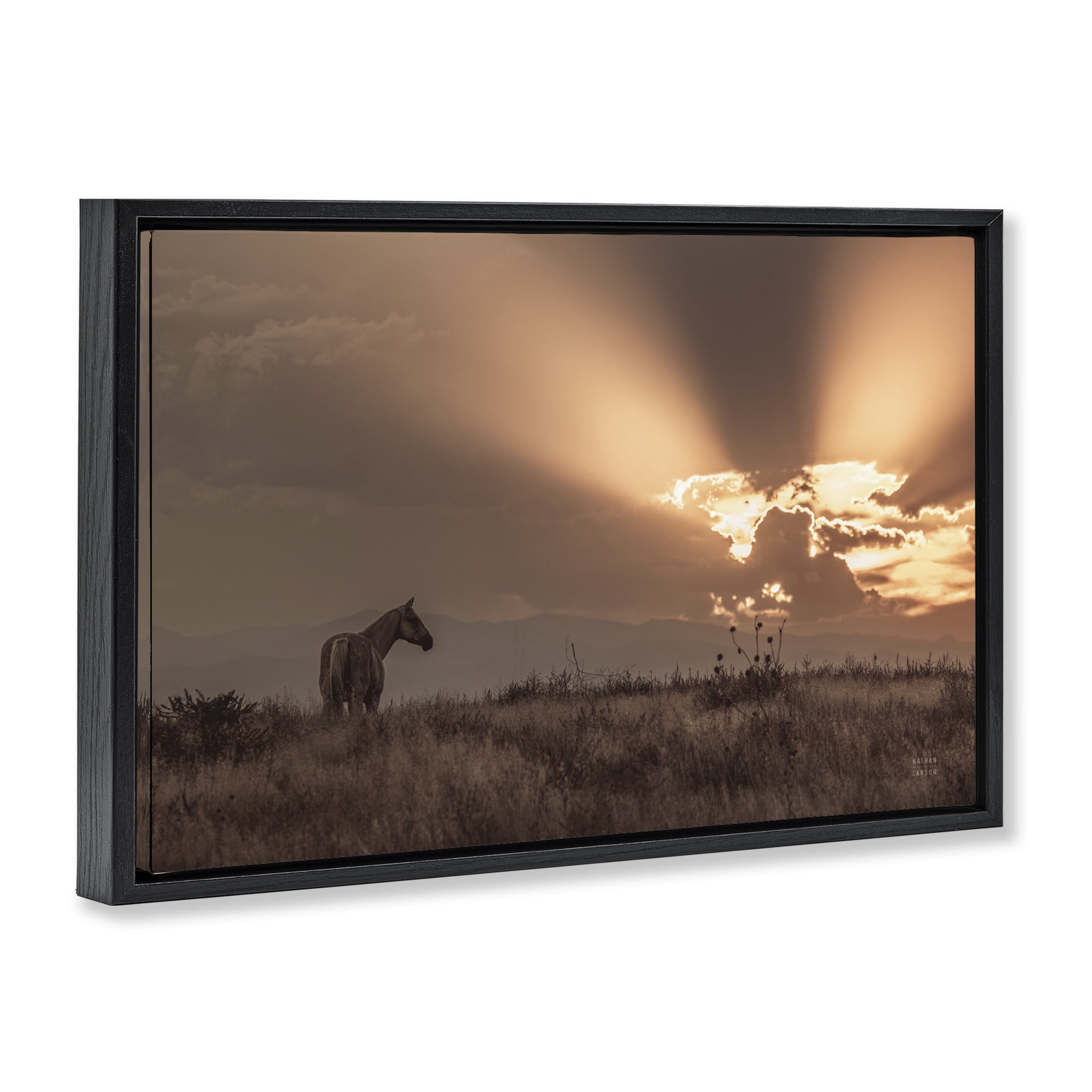 Stupell Industries Faded Sunset with Horse Landscape & Nature Photography Black Floater Framed Canvas Art Print Wall Art, 25 x 17