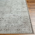 thumbnail image 2 of Livabliss Amelie Vintage Washable Area Rug,7'10" x 10'2",Greige, 2 of 6