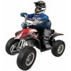 Razor 24-Volt Electric Dirt Quad Ride On