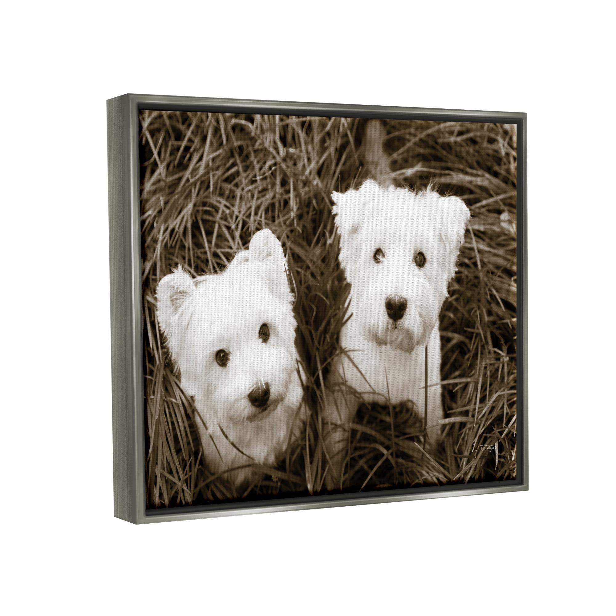 Stupell Industries White Terrier Puppies Animals & Insects Photography Gray Floater Framed Art Print Wall Art, 21 x 17