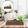 thumbnail image 1 of HAMPPLIES 1 Set Small Reptile Terrarium Transparent Visibility for Lizards and Geckos, 1 of 7