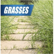 Pulverize Weed & Grass Killer Herbicide, 32 fl. oz. Ready-to-Use
