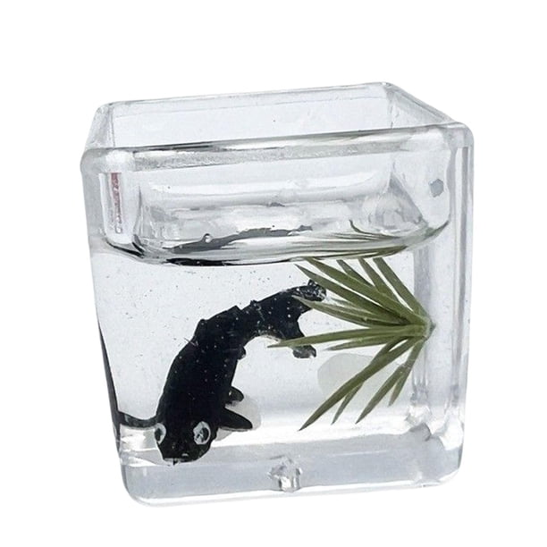 1/12 Casa de Muñecas DIY Mini Modelo Escena en Miniatura Modelo a Mano Simulación Koi Goldfish Bowl para Sala de Estar Comedor Gabinete de Escritorio negro Sunnimix Cuenco de peces de colores en miniatura