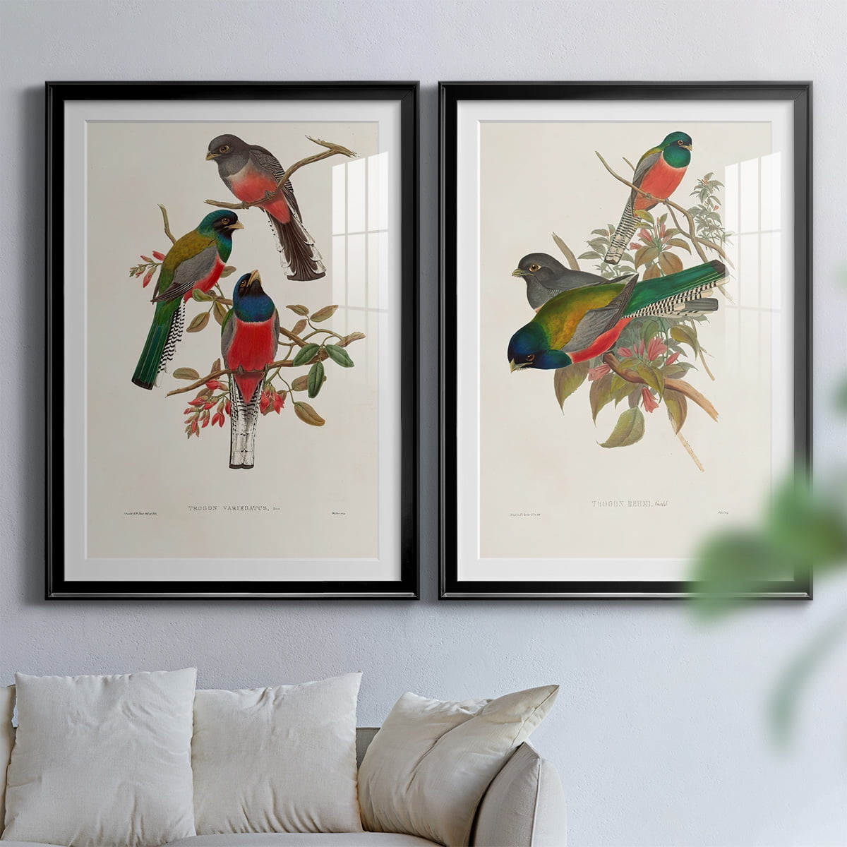 Wexford Home Elegant Trogons IX Premium Framed Print, 26.5" x 36.5" - Ready to Hang, Black (Set of 2)
