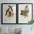 thumbnail image 6 of Wexford Home Elegant Trogons IX Premium Framed Print, 30.5" x 42.5" - Ready to Hang, Black (Set of 2), 6 of 9