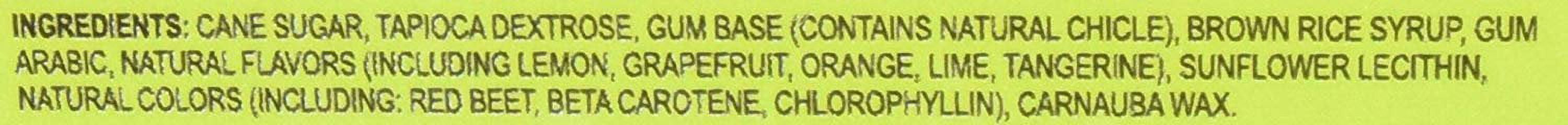 Tree Hugger Bubble Gum, Citrus Berry, 120 Count