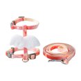thumbnail image 2 of Fairnull Pet Harness Leash Buckle Design Angel Wings Cat Dog Anti-Escape Harness, 2 of 7