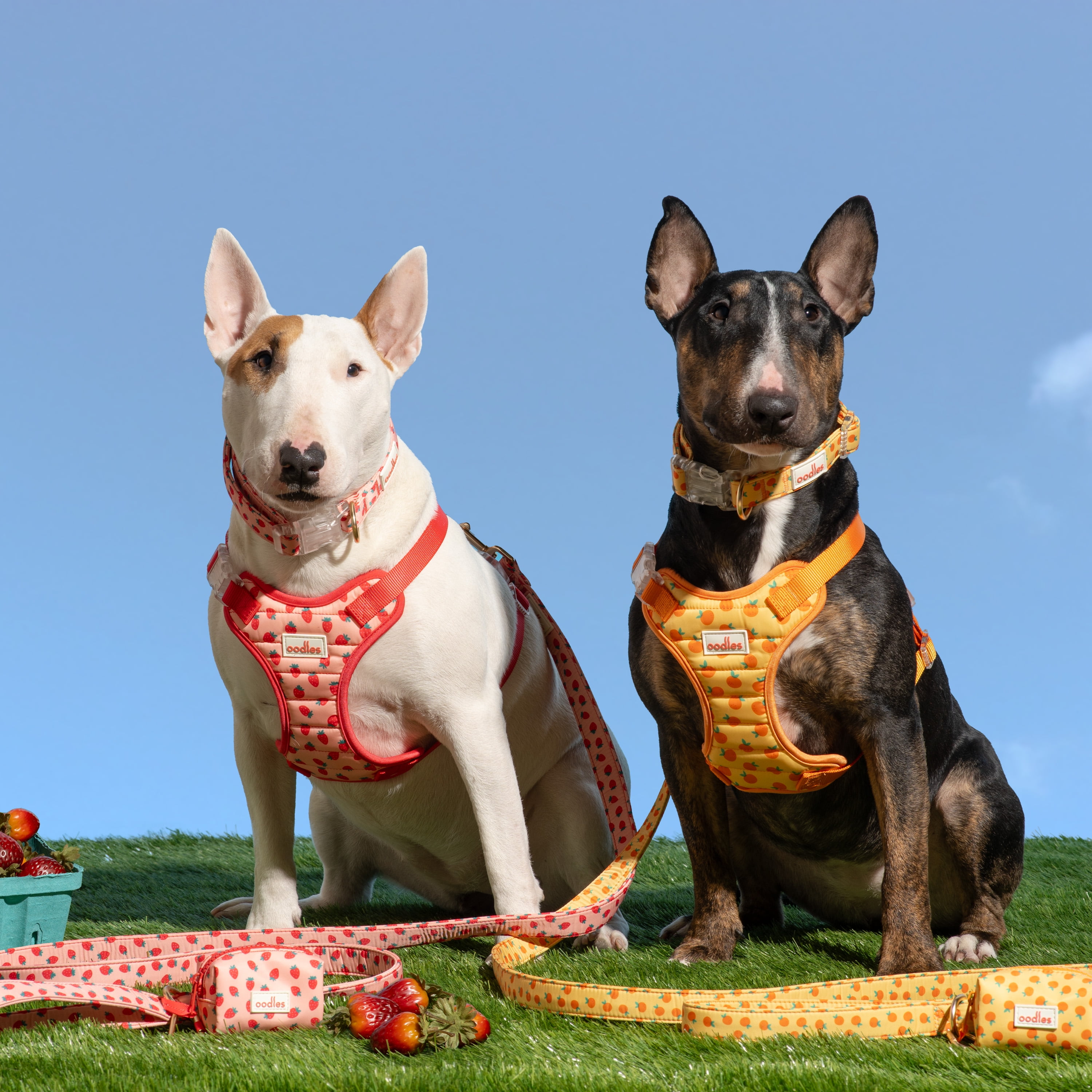 Oodles Sweet Strawberry Dog Walking Harness, Large