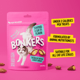 thumbnail image 4 of BONKERS Bites Seafood & Eat It Flavor Crunchy & Soft Treats for Cats, 12oz Bag, 4 of 12