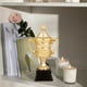 thumbnail image 1 of , Trofeo, Trofeo, Oficina, , Participación, Reconocimiento, Regalo, de Premiación, Fútbol, Fútbol, Liga, Juego, 24cm Hugo Trofeo de premio, 1 of 10