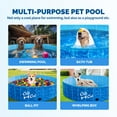 thumbnail image 5 of All For Paws Chill-Out 63” Foldable Dog Swimming Pool with Water Drainage Hole, Collapsible Outdoor Wading Pool for Dogs & Kids, Outdoor Pet Bath Tub, 5 of 8