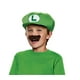 Nintendo Super Mario Frères Luigi Enfant Chapeau et Moustache, une Taille Enfant – image 1 sur 3