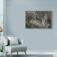 thumbnail image 3 of Trademark Fine Art 'Sunlit Birches II' Canvas Art by Sue Schlabach, 3 of 3