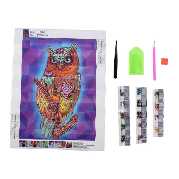 FYBTO Rhinestone Painting Relaxing Interesting Owl Pattern Bright Colors DIY Drawing Kit for Professionals-0907