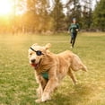 thumbnail image 2 of Dog Eye Patch - Small Dog & Cat Protective Eye Cover for Injuries & Surgery Wounds, 2 of 3