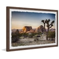 thumbnail image 2 of Marmont Hill Mojave Native Tree Framed Wall Art, 2 of 6