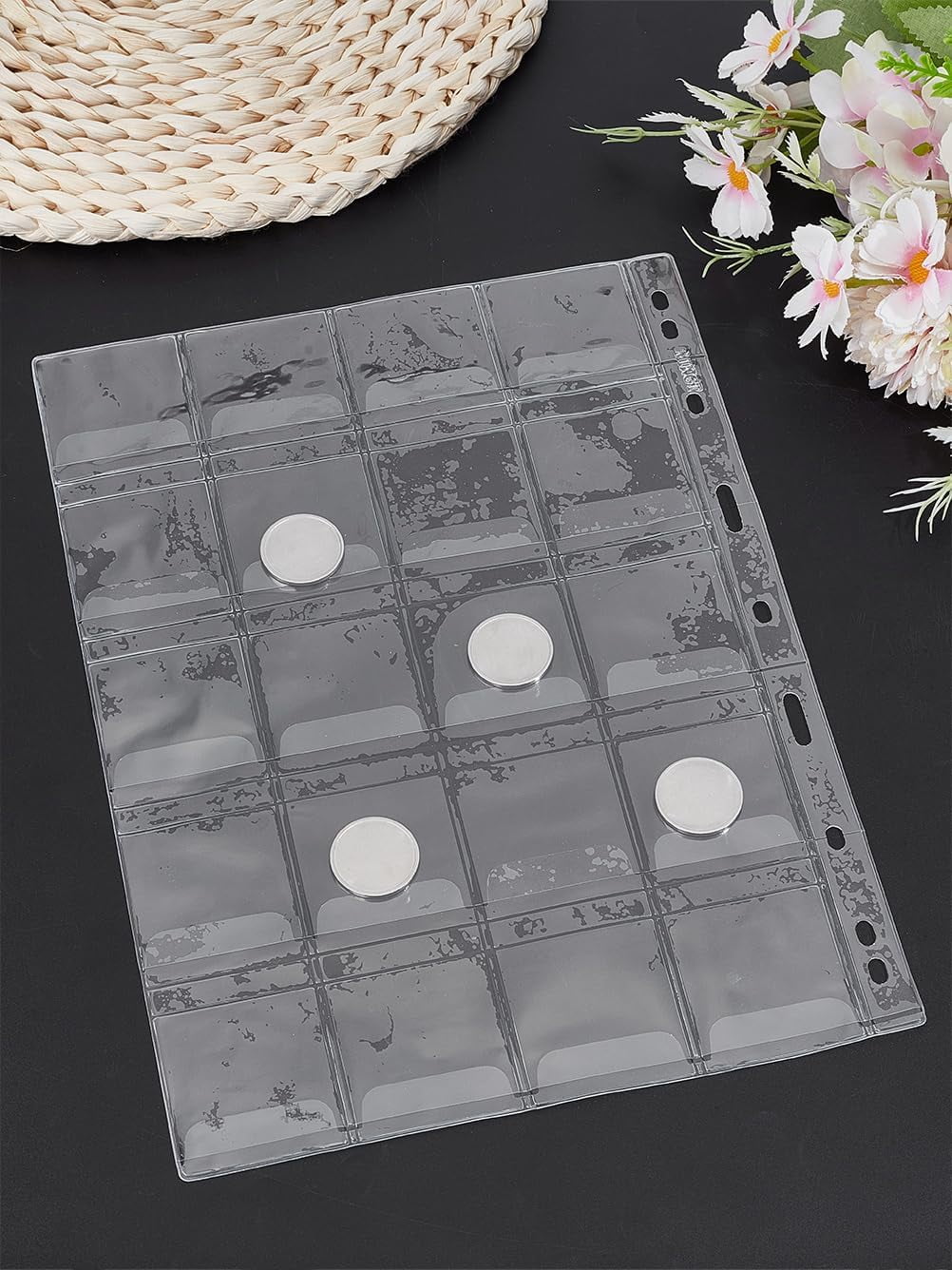 Pockets Coin Pages, 10 Sheets Pocket Inserts Collecting Sleeves for Coin, Coin Collection Storage Supplies, Coin Collection Pocket Pages for Penny