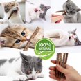 thumbnail image 3 of Palitos de hierba gatera Palitos de vid de plata natural - Herramientas para limpiar y moler los dientes Juguetes para masticar para gatitos Juguetes de hierba gatera natural para gatos (10 piezas), 3 of 5