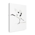 thumbnail image 2 of Trademark Fine Art 'Japanese Cranes III' Canvas Art by Naomi McCavitt, 2 of 4
