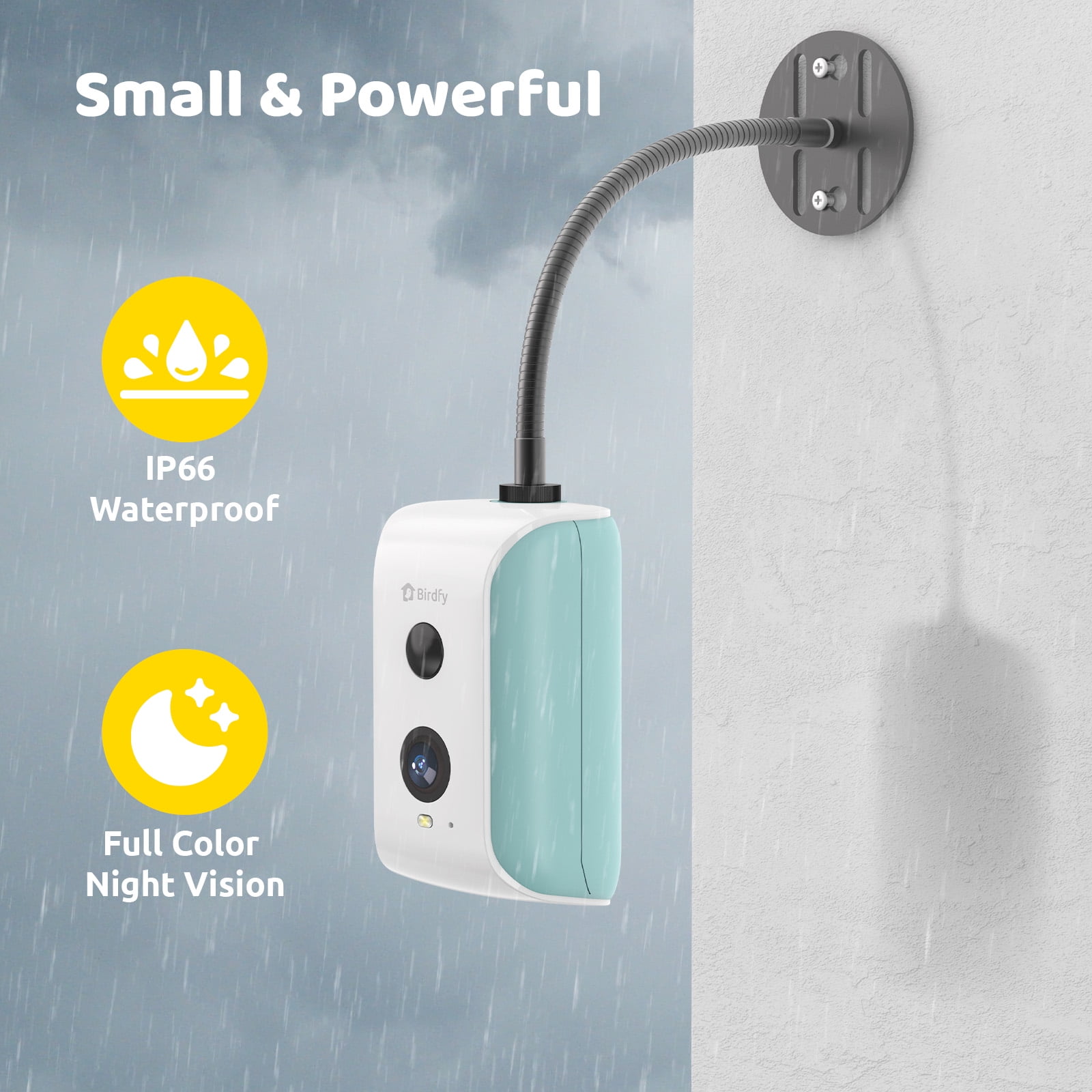Birdfy Smart Bird Feeder Camera for Wild Bird Watching & Recording – Wall & Pole Mount Compatible, Cyan
