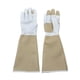 thumbnail image 2 of Guantes de jardinería Bewildely Larga Verde, 2 of 6