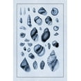 thumbnail image 2 of Sowerby, G.B. 11x14 Black Ornate Wood Framed with Double Matting Museum Art Print Titled - Shells: Sessile Cirripedes #2 (Blue), 2 of 4