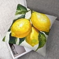 thumbnail image 7 of BANET Throw Pillow Covers,Yellow Green Fruit Branch Cushion Cover Digital Blended Hidden Zipperl Decorative Pillowcases for Hair Skin Square 2 Pcs 24x24in, 7 of 7