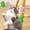 B, variant on Pet Toys Pet Tickling Artifact 2pcs Pet Itch Tool 3 In 1 Tickling Comb Pet Brush Itch Relief And Grooming Massaging Artifact For All Pet