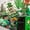 SD1048, variant on 10 Pack of St. Particks Day Garden Flag Double Sided Outside Small Welcome Burlaps Green Clovers Green Grass Holiday Yard Decorations Outdoor Flags 12x18 Inch