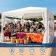 thumbnail image 4 of Toldo con Carpa 3x3 Metros Bluelander, Paredes con Ventanas Laterales e Impermeable, 4 of 5