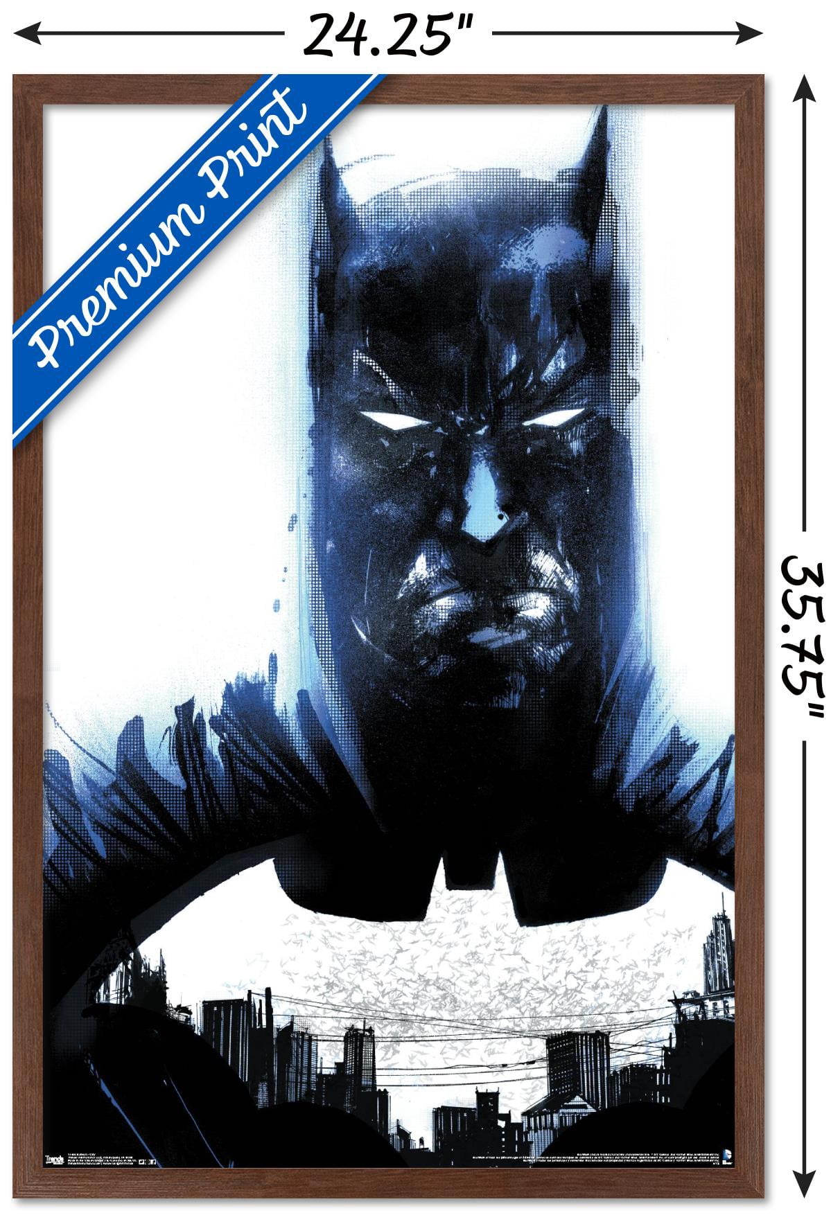 DC Comics - Batman - City Wall Poster, 22.375" x 34", Framed